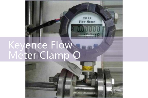 Keyence Flow Meter Clamp On: External Transit-Time Fluid Velocity Monitoring